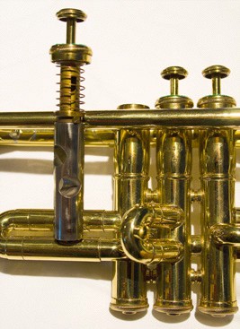 Brass instrument (lip reed) acoustics: an introduction